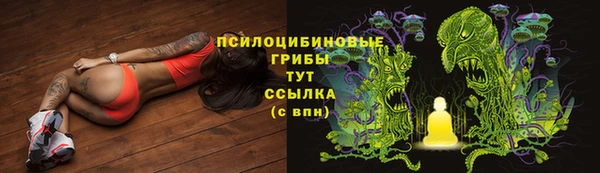 apvp Медвежьегорск