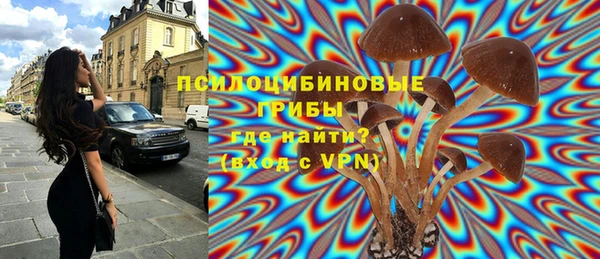 apvp Медвежьегорск