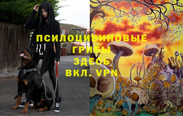 молекула духа Медногорск