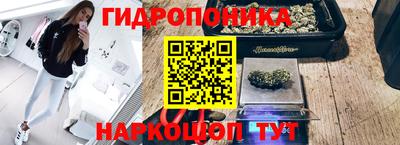 стаф Бузулук