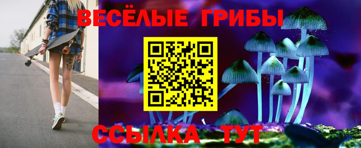 Воронеж  Галлюциногенные грибы Psilocybine cubensis  Вход с VPN 